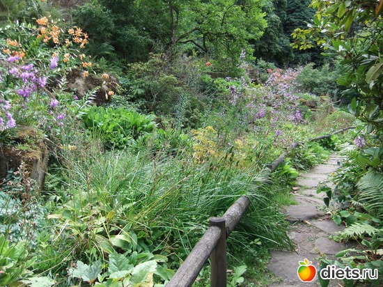 7 ����: Harewood House