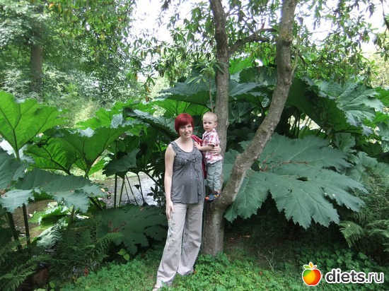 8 ����: Harewood House