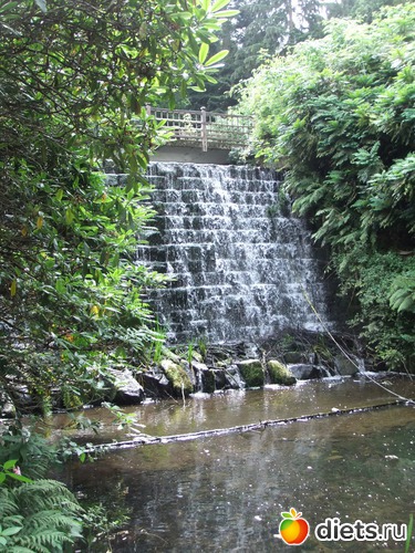 9 ����: Harewood House