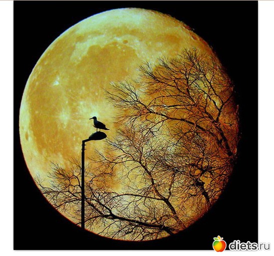 1 фото: Луна