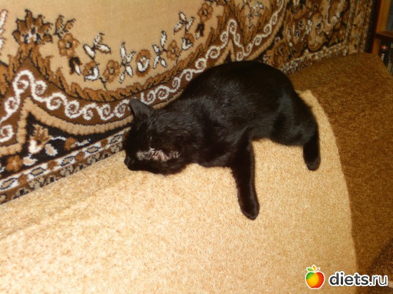 14 ����: ����