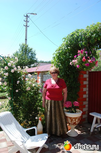 июль2011 любимые цветы вновь порадовали, альбом: МОИ ФОТО