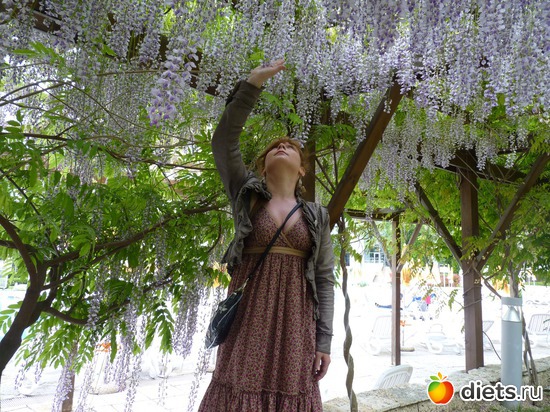 Глициниевый рай, альбом: Албена, май 2011