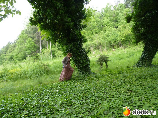 Готические фантазии, альбом: Албена, май 2011