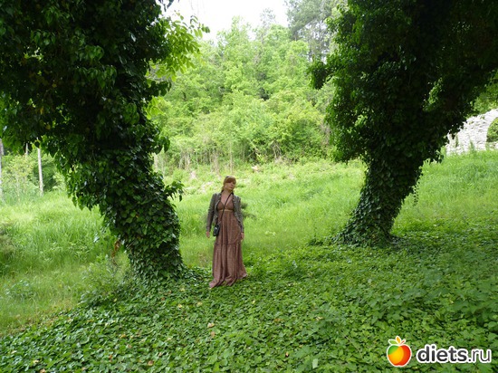 Плющ и поляны, альбом: Албена, май 2011