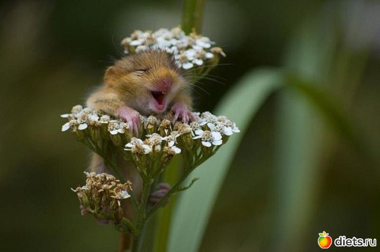 9 ����: ��� �����