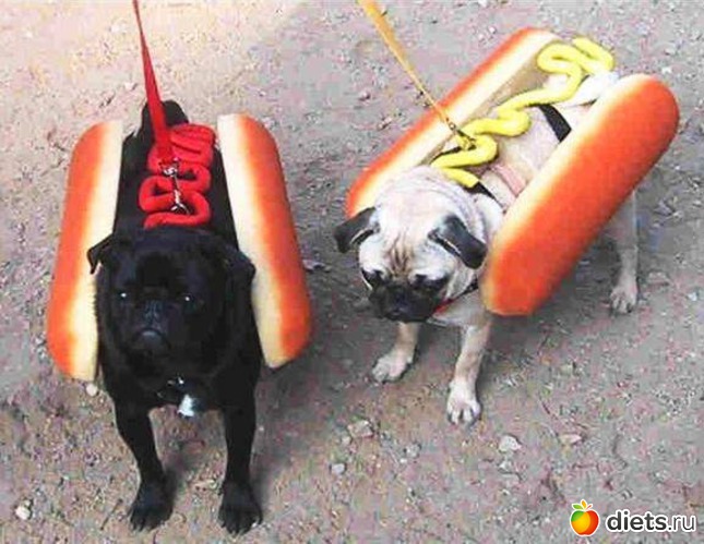 5 ����: �����