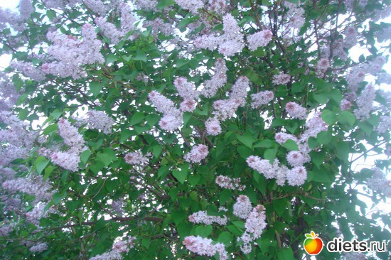 2 ����: � ���� ���������� ����!!!