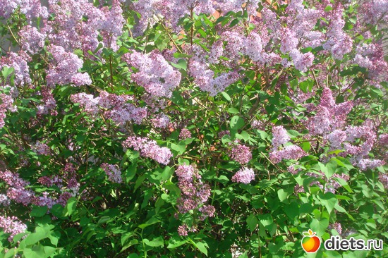 3 ����: � ���� ���������� ����!!!