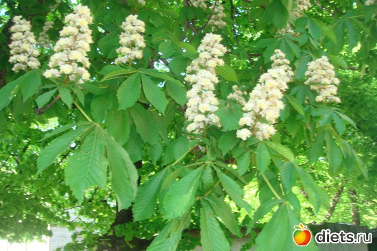 4 ����: � ���� ���������� ����!!!