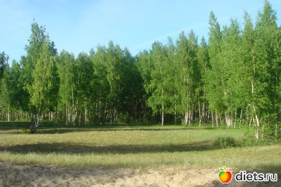 6 ����: � ���� ���������� ����!!!