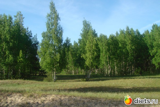 7 ����: � ���� ���������� ����!!!