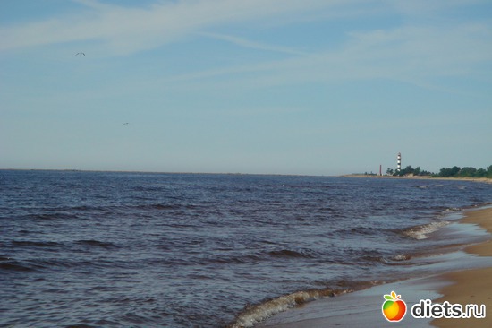 ����, ������: � ���� ���������� ����!!!