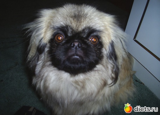 6 ����: ����������