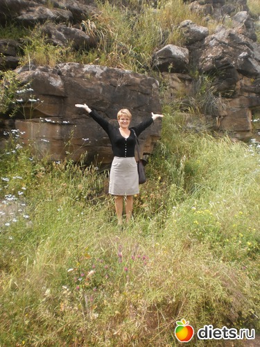 ���������� ���., ������: ������ ���