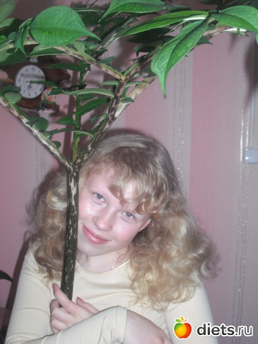 3 ����: ����������