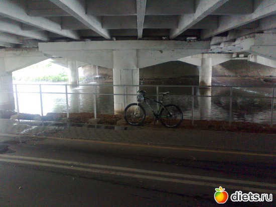 ��� ����� �������� ���������, ���������� �����), ������: ���������.