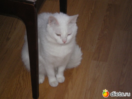 1 ����: ��� �����.