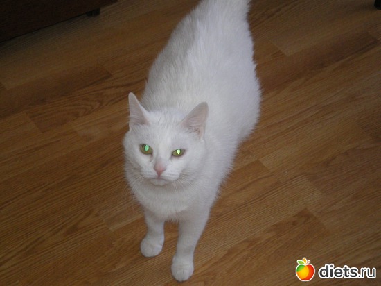 2 ����: ��� �����.