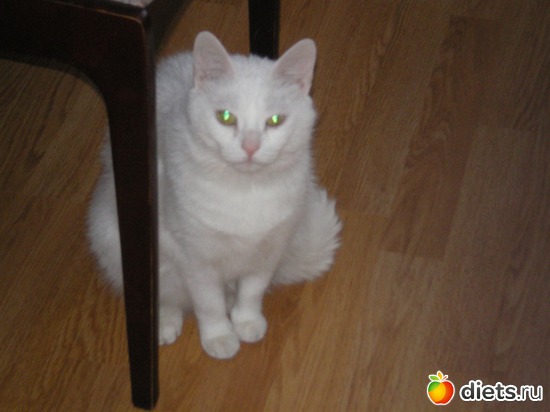 3 ����: ��� �����.