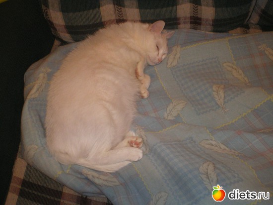 4 ����: ��� �����.