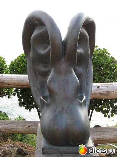 2 ����: ���