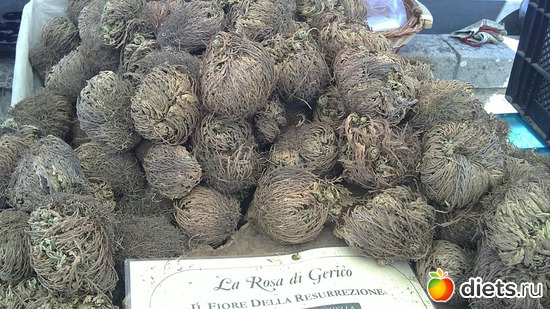 4 ����: raznoe