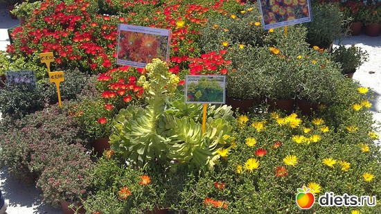 14 ����: raznoe