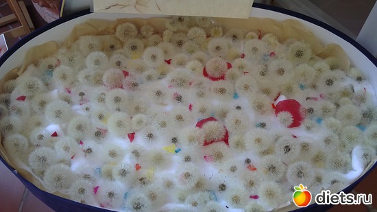 19 ����: raznoe