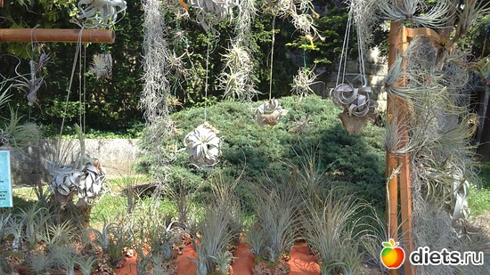 22 ����: raznoe