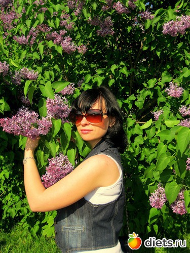 ���� 2011, ������: <�