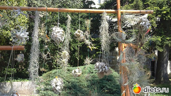 23 ����: raznoe