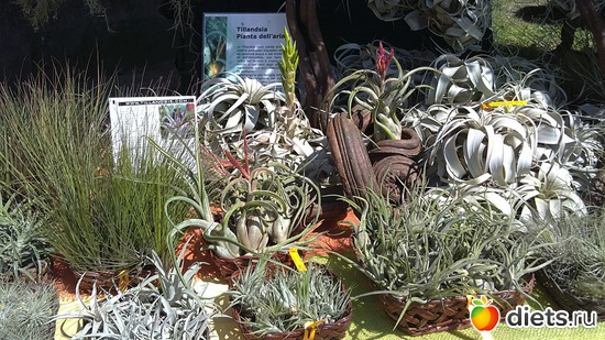 24 ����: raznoe