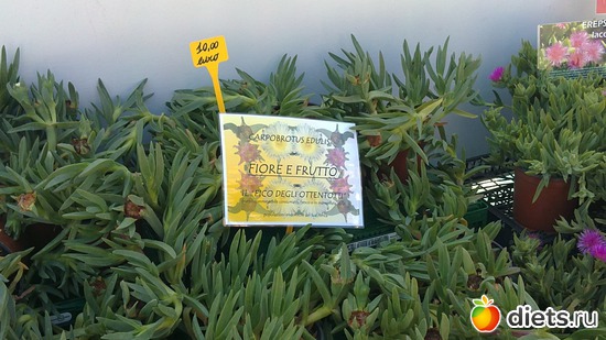 28 ����: raznoe