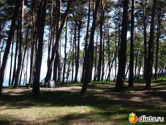 �������� ��� � ����, ������: ����