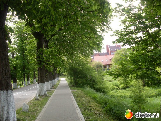 ���������� ����� � ����, ������: ����