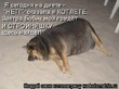 Начинаю всё с начала!)