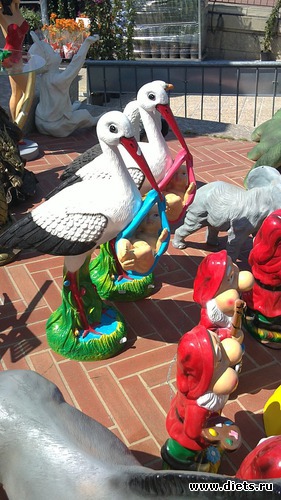 31 ����: raznoe