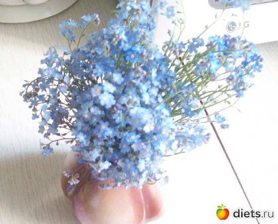 1 ����: �����