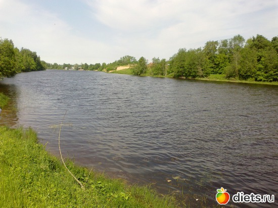 ��� ���� ����, ������: ��������