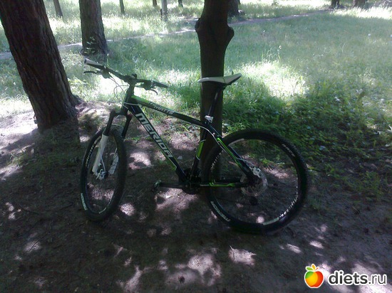 12 ����: ���������.