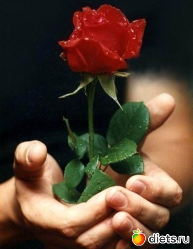 24 ����: ������