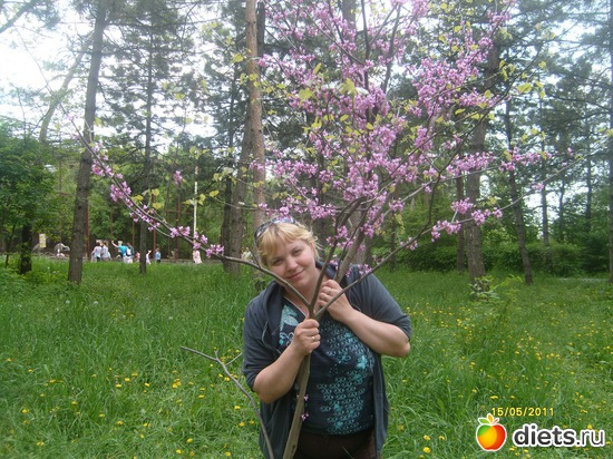 ��� � ������,���,2011. 85 ��, ������: ���� ���� �����