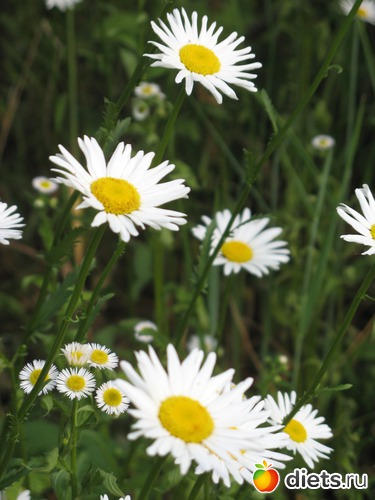 6 фото: Фото