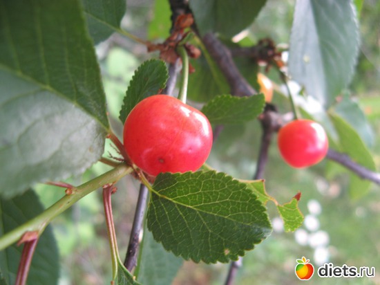 8 фото: Фото