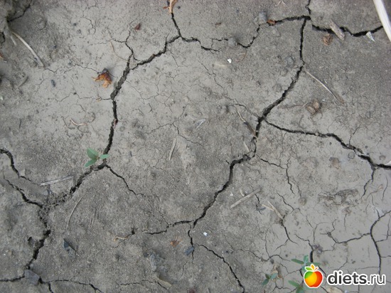 9 фото: Фото