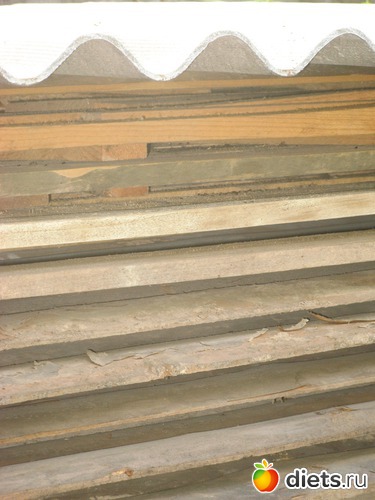 10 фото: Фото