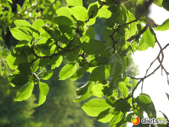 11 фото: Фото