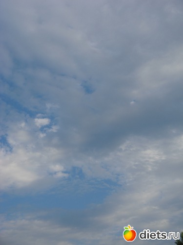 12 фото: Фото