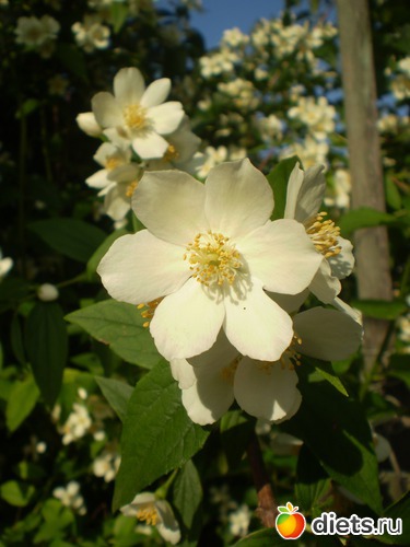 7 ����: ���� �� ����